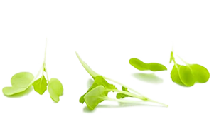 Andy Clay - Personal Trainer