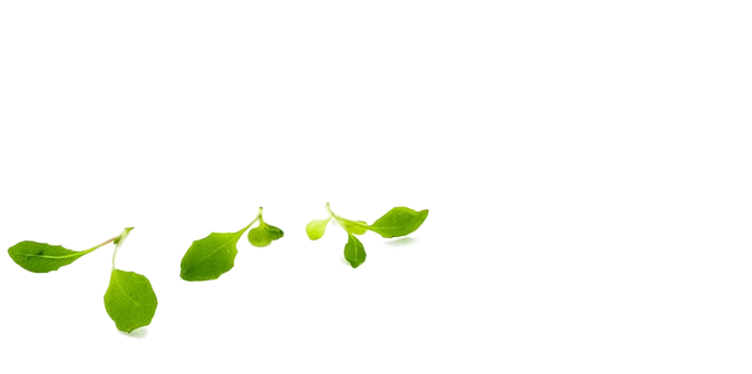 Andy Clay - Personal Trainer