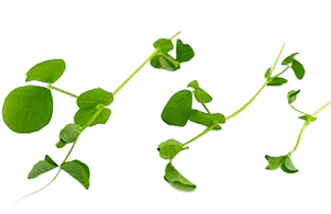 Andy Clay - Personal Trainer