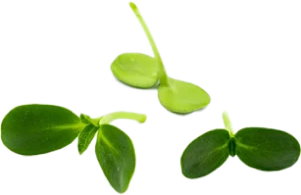 Andy Clay - Personal Trainer